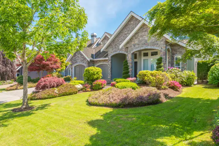 Outdoor Curb Appeal