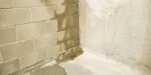 Water-damaged basement corner showing wet concrete block wall and signs of moisture infiltration, emphasizing the need for winter waterproofing to prevent structural issues.