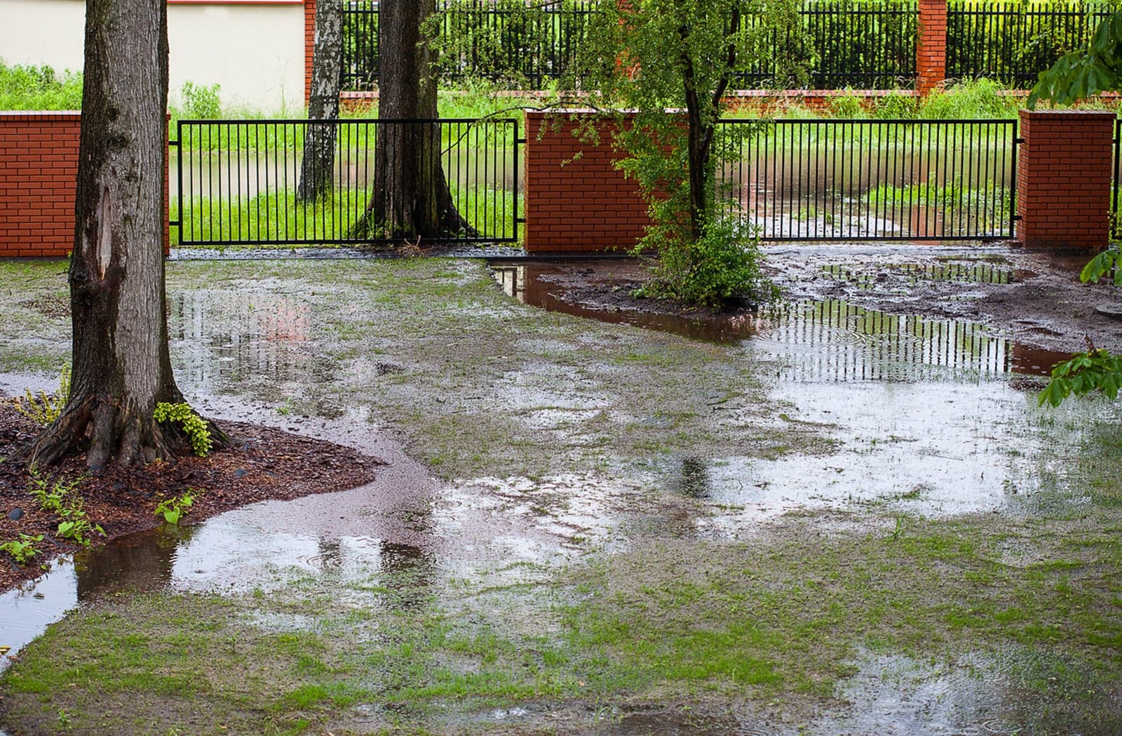 Flooded backyard with muddy ground and scattered puddles. Brick fence and metal gate in the background. Damp, overcast atmosphere.