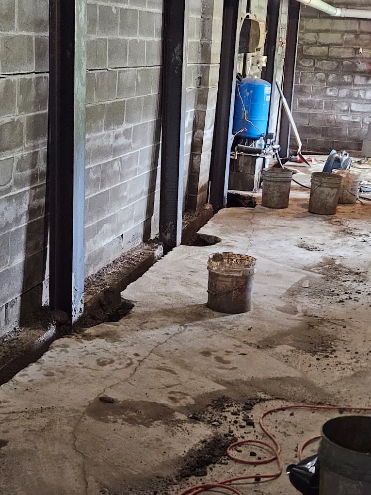 just like a sturdy tree with roots digging deep into nourishing soil, your peace of mind, too, can start below ground level&mdash;in your basement
