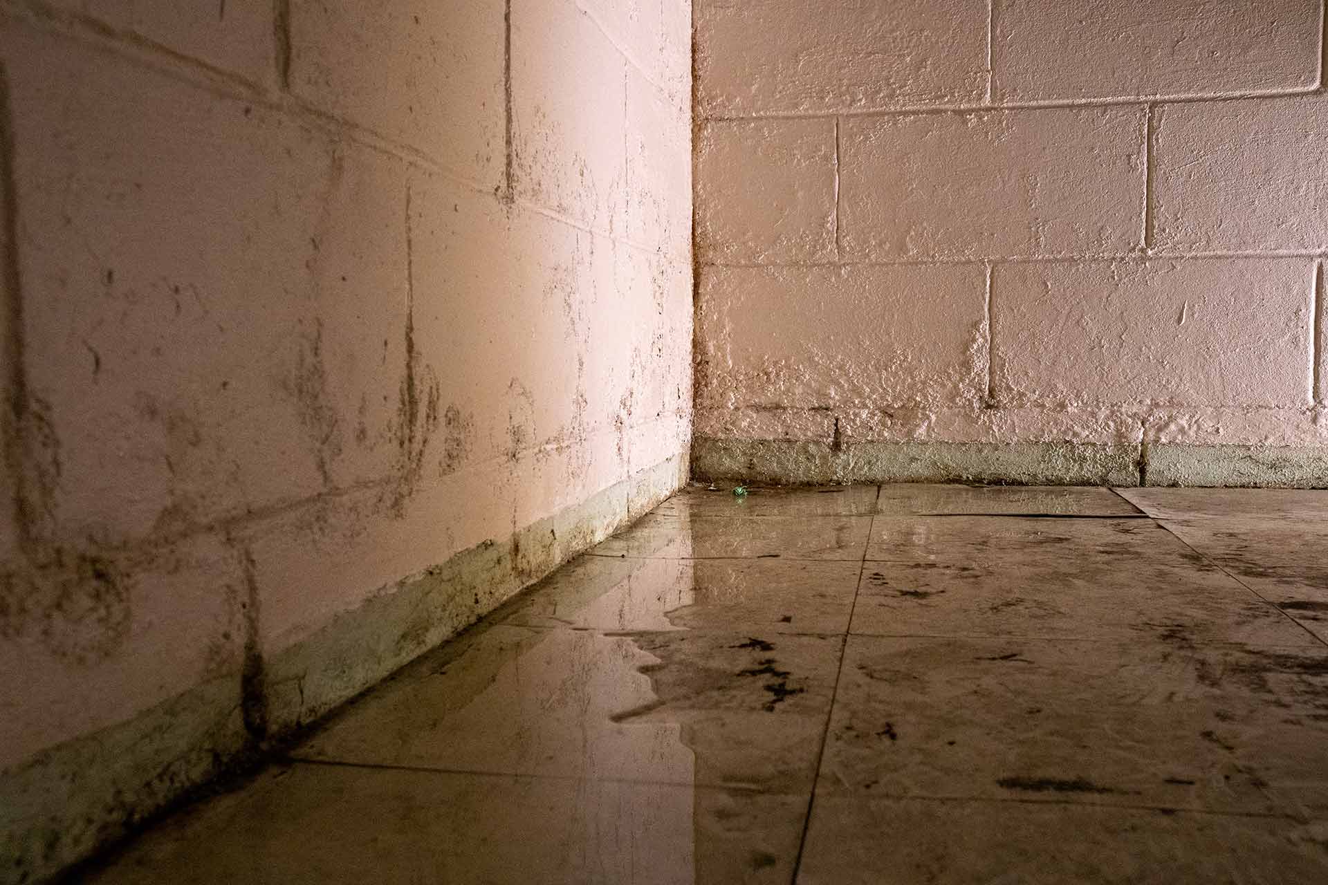 Wet basement corner with water damage, stained walls, and floor moisture caused by hydrostatic pressure