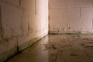 Wet basement corner with visible water pooling on the floor and moldy walls, emphasizing the need for moisture barriers and sump pumps to prevent water damage.