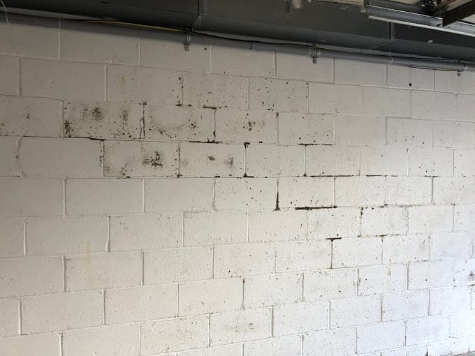 White powder on basement walls caused by efflorescence forming on a concrete block basement wall from moisture intrusion.