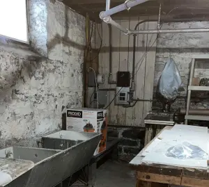 Damp basement walls and floor illustrating moisture problems and dehumidifier limitations.