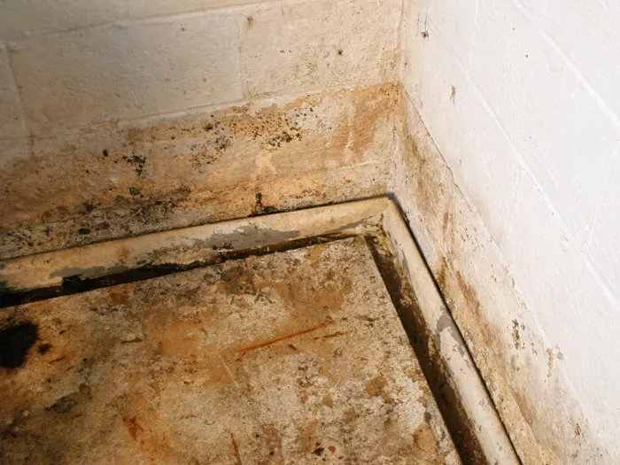 Basement corner with visible mold and water damage, highlighting the need for effective waterproofing solutions to prevent structural issues and maintain a dry environment.