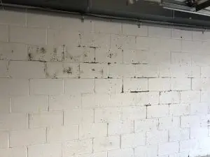 Damp basement wall with visible moisture and staining, illustrating potential mold and structural damage.