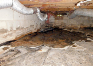 Damp crawlspace with visible moisture and ductwork, illustrating potential structural damage and mold growth.