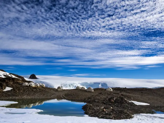 Planning Your African Safari and Antarctic Adventure Back to Back