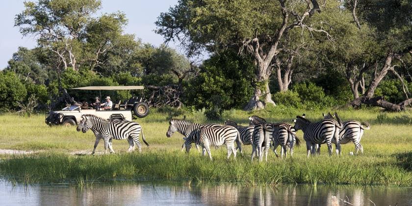 d2 https://www.safariventures.com/wp-content/uploads/d2.jpg
