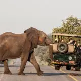 Victoria Falls and Chobe Fly-In Tour