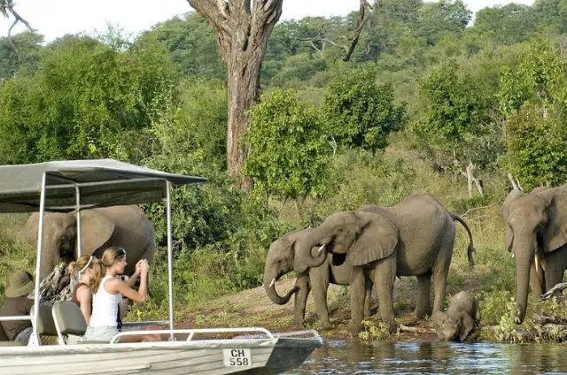 Understanding the Geology of African Safari