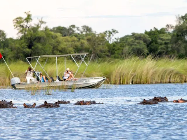 Botswana Exploration Tour