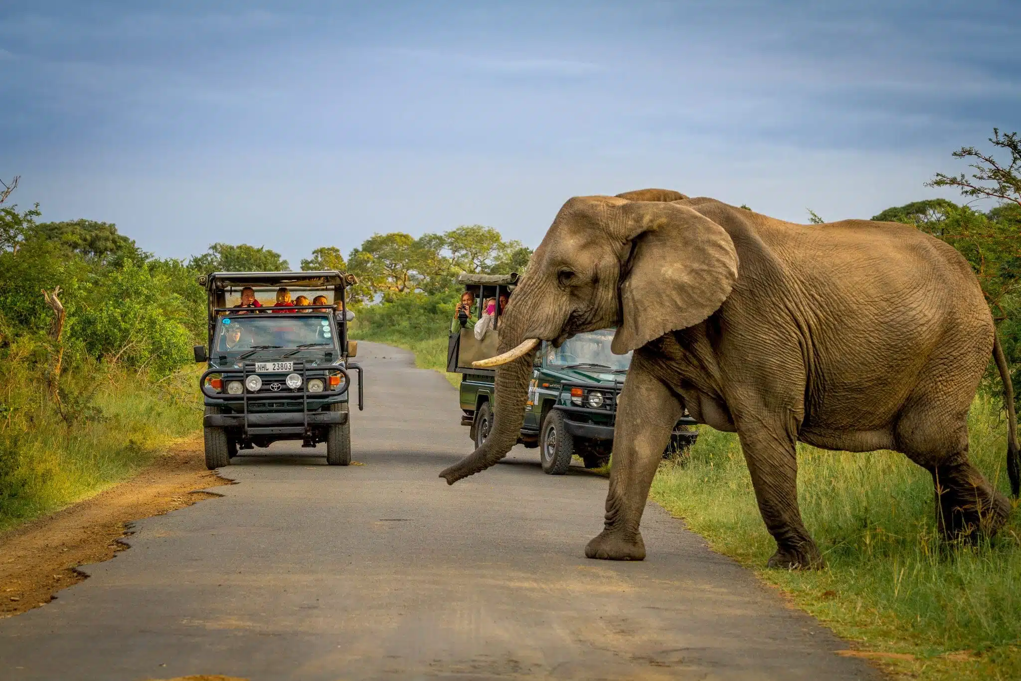 Hluhluwe https://www.safariventures.com/wp-content/uploads/Hluhluwe.jpg