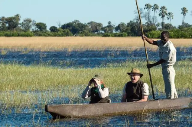 Best Times to Visit Okavango Delta Safari