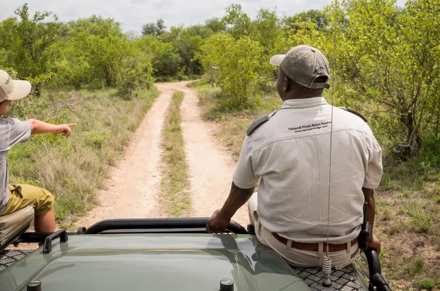 Kruger National Park Tours – Experience Close Encounter with Wildlife