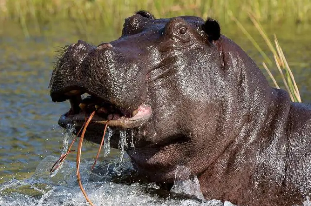 Best Times to Visit Ngorongoro Crater Safari