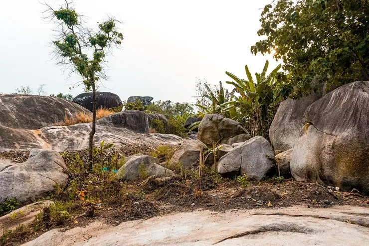 1 https://www.safariventures.com/wp-content/uploads/1-18.png