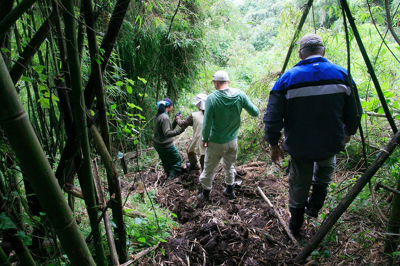 people on a gorilla trek in Rwanda and Uganda