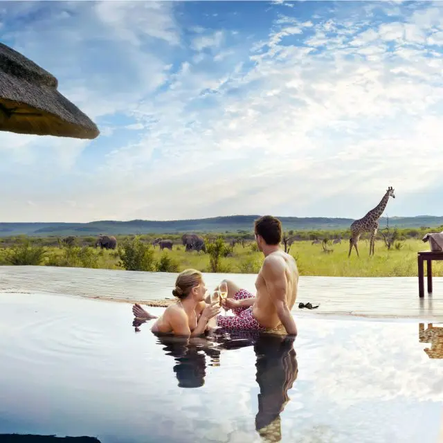 couple relaxing and looking at animals