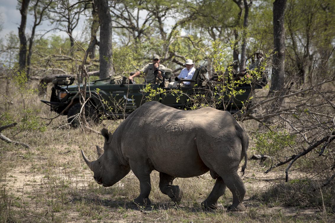 Safari Ventures https://www.safariventures.com/wp-content/uploads/k100.jpg