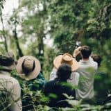Mountain gorilla trekking