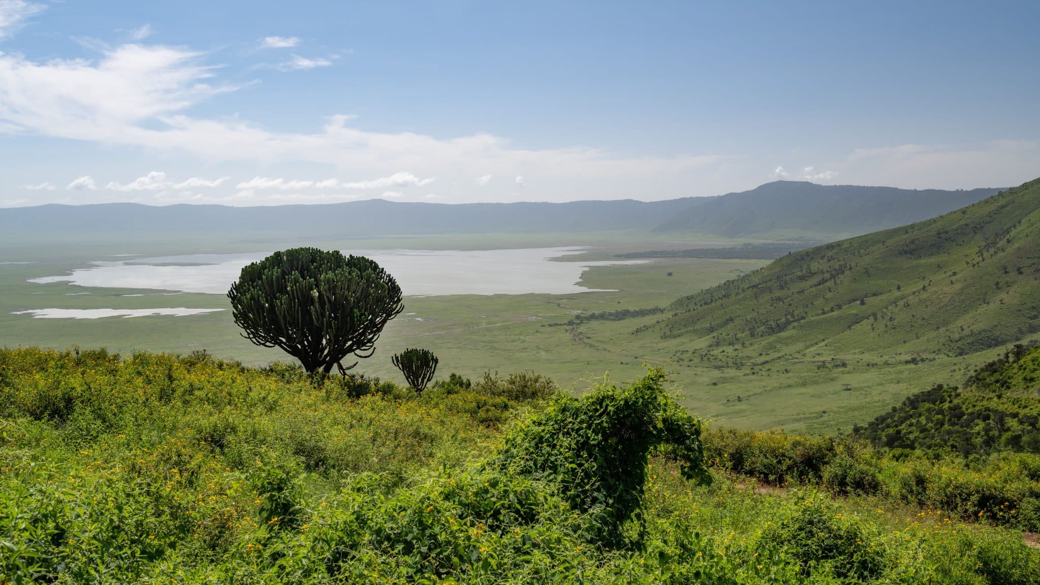 A drone view of Tanzania - Ngorongoro Conservation Area