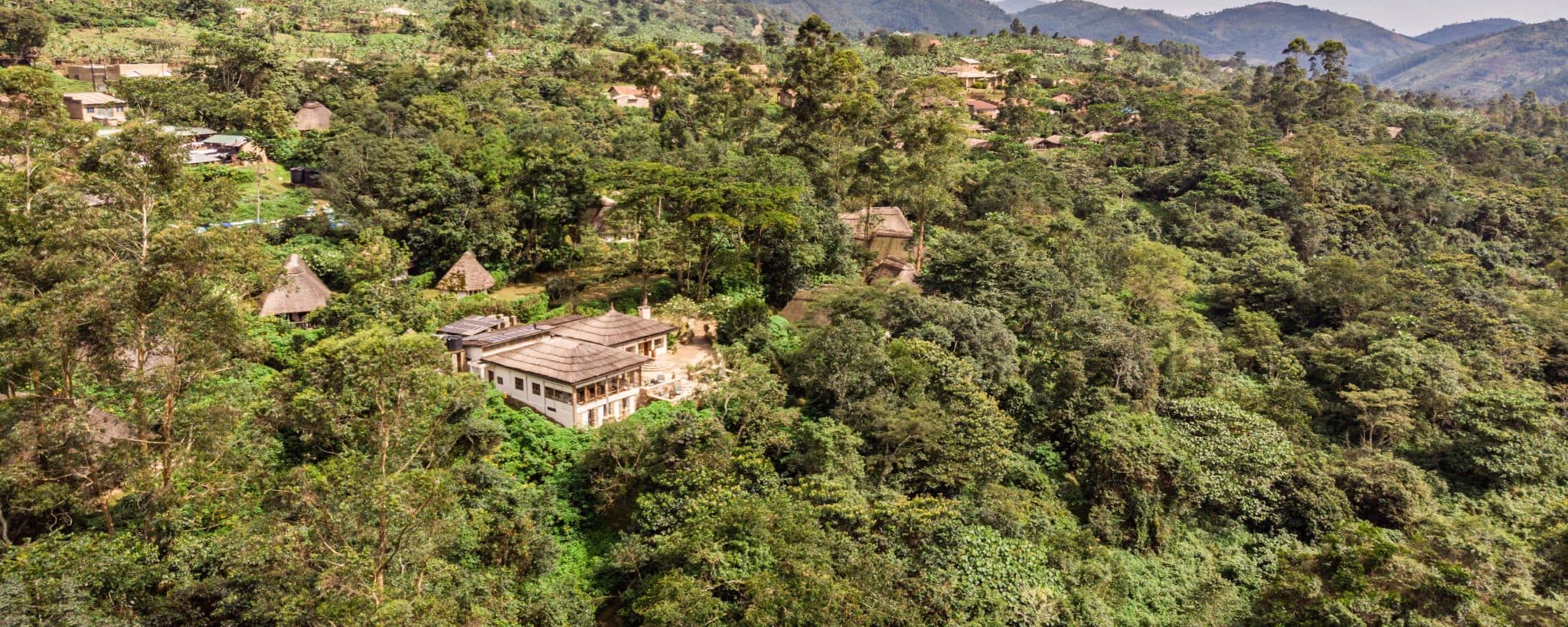Aerial View of a Bwindi Impenetrable National Park in Uganda