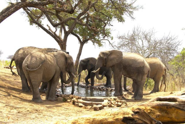 Tanzania Sky Safari Tour