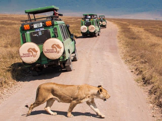 Kenya vs Tanzania Safari: Which One Is Better?