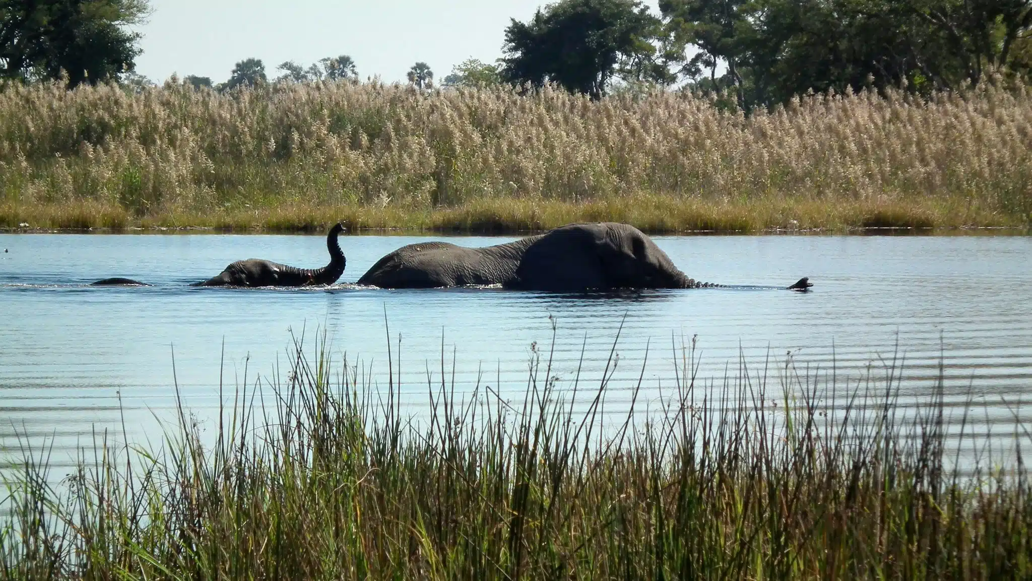 https://www.safariventures.com/wp-content/uploads/Okavango-Delta-scaled.jpg