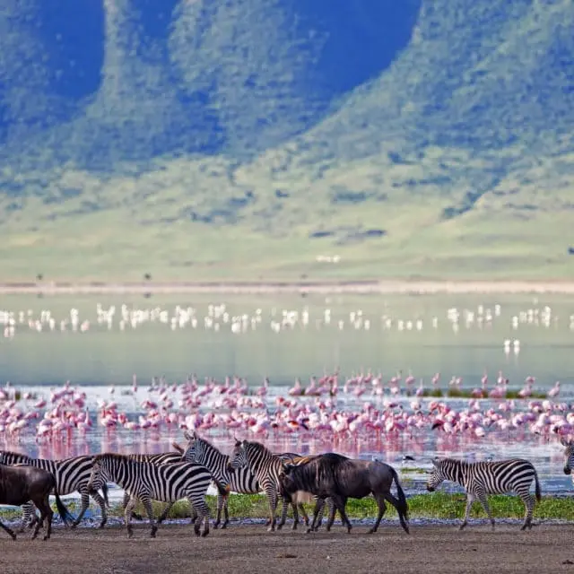ngorongoro crater