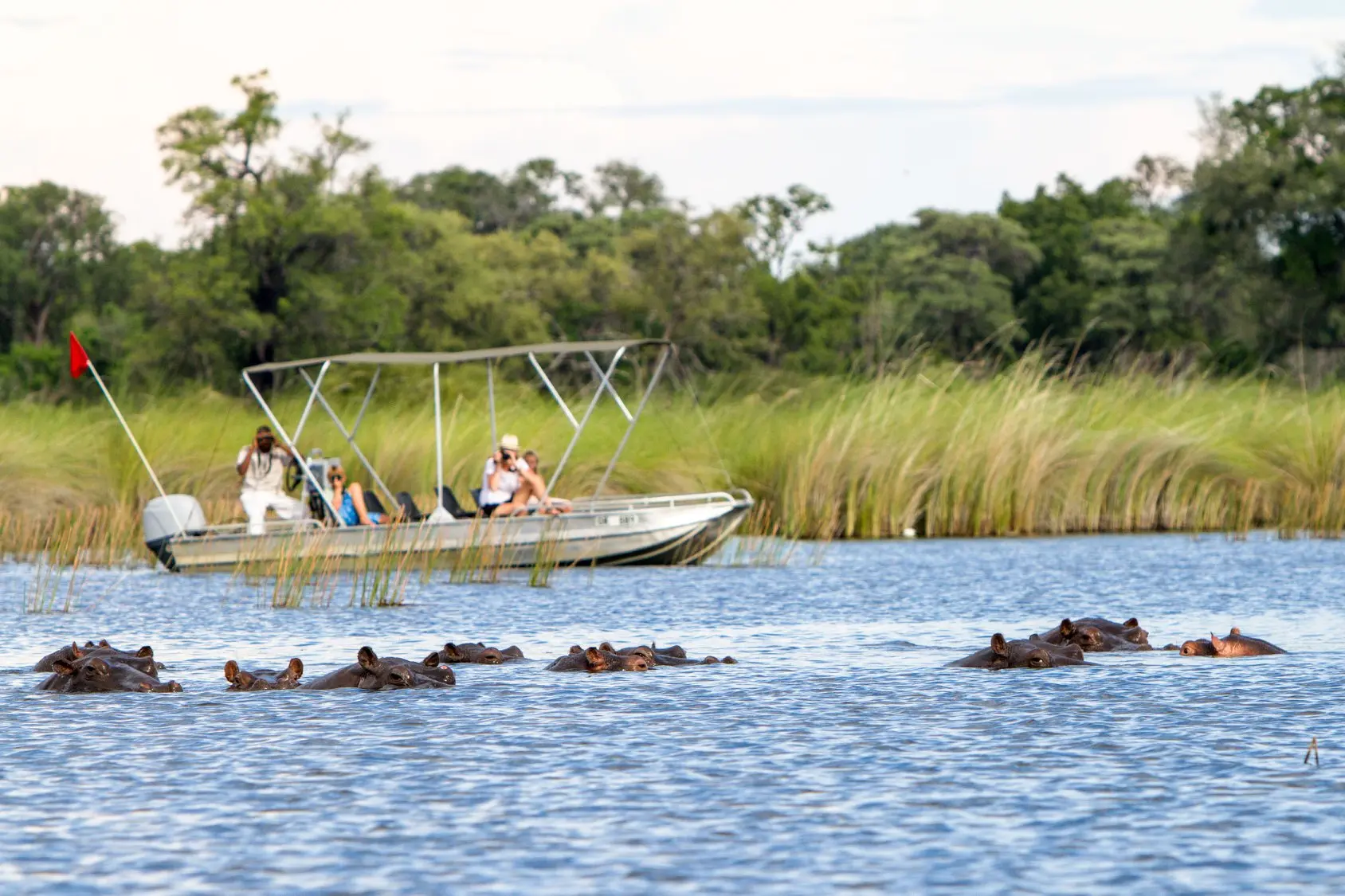 d8 https://www.safariventures.com/wp-content/uploads/d8.jpg