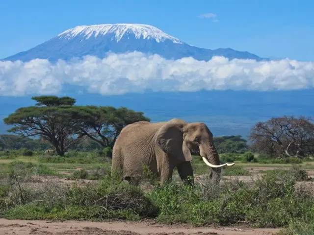 Mt. Kilimanjaro Climb Rongai Route