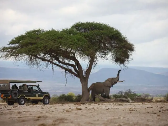 Kenya Luxury Sky Safari Tour