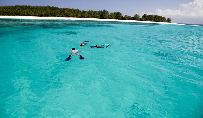 Snorkeling Along Zanzibar Coast