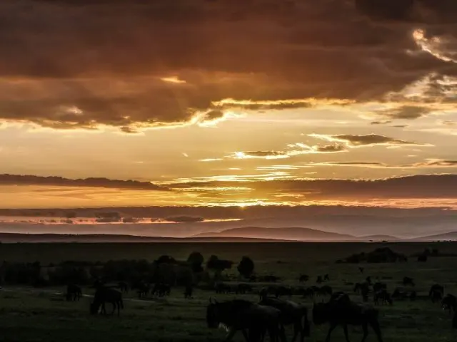 Tanzania Luxury Safaris: What “Luxury” Really Means (Lodges, Locations, and Seasons)