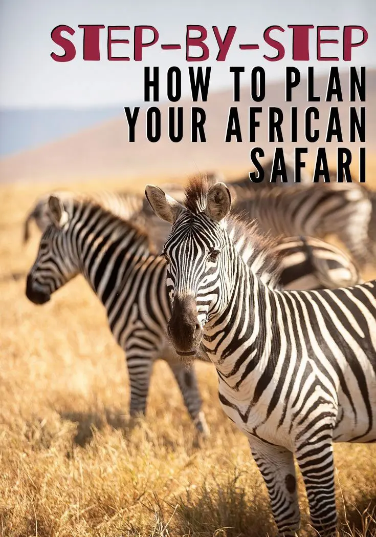 Step by step guide to planning an African safari