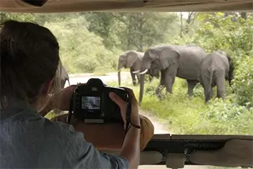 Tanzania Sky Safari Tour