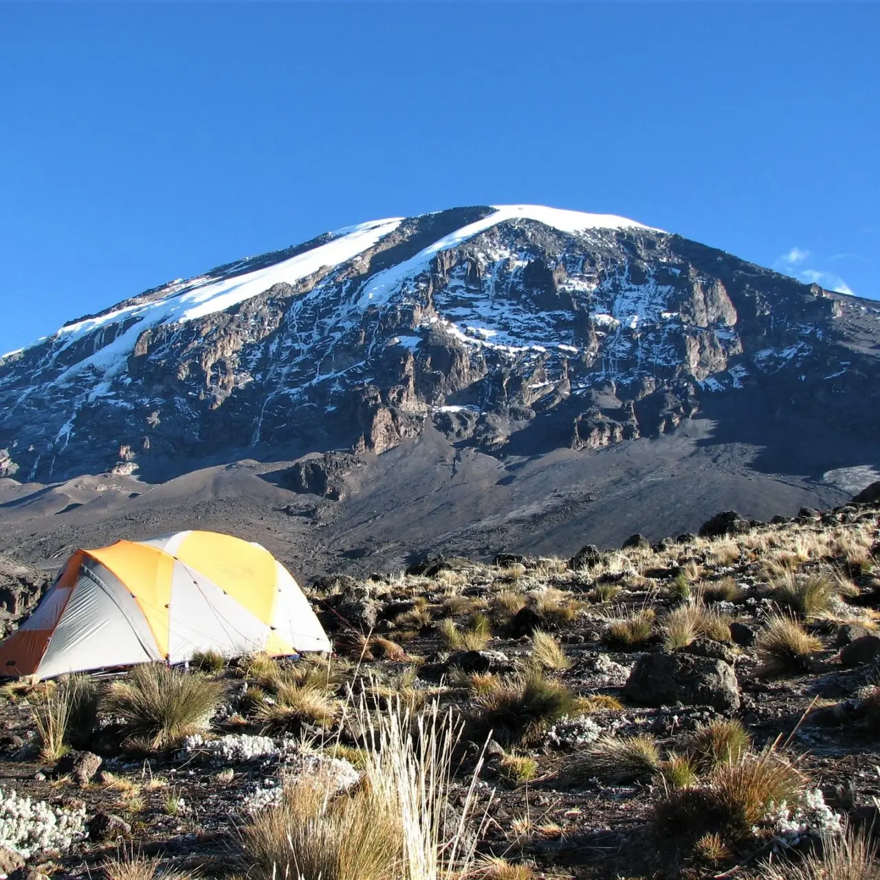 Camp site and mount Kilimanjaro