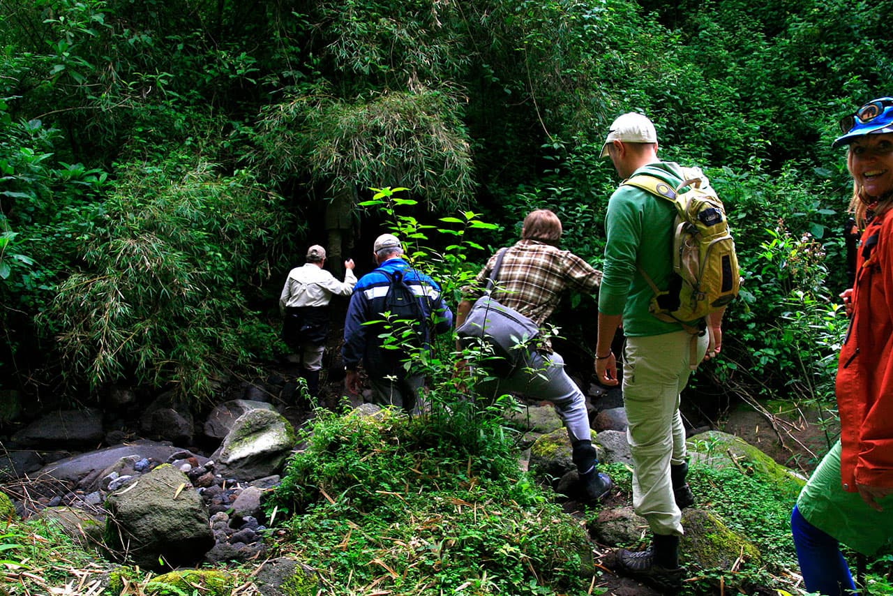 people going on a gorilla trek in rwanda and uganda