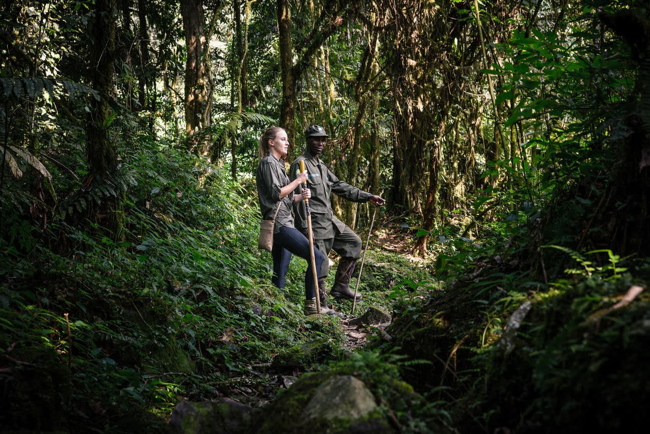 People on a gorilla trek in the forest