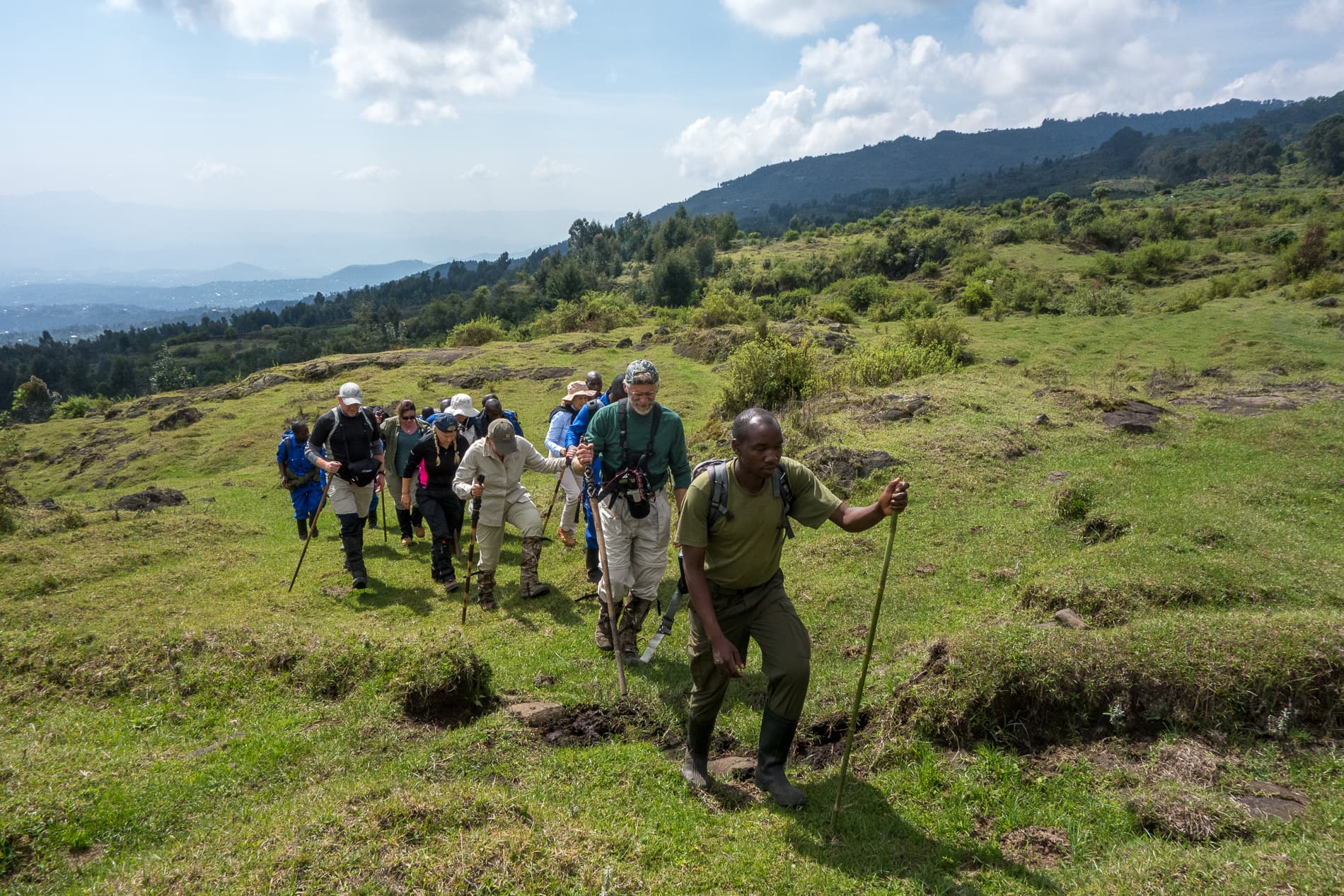gorilla trekking