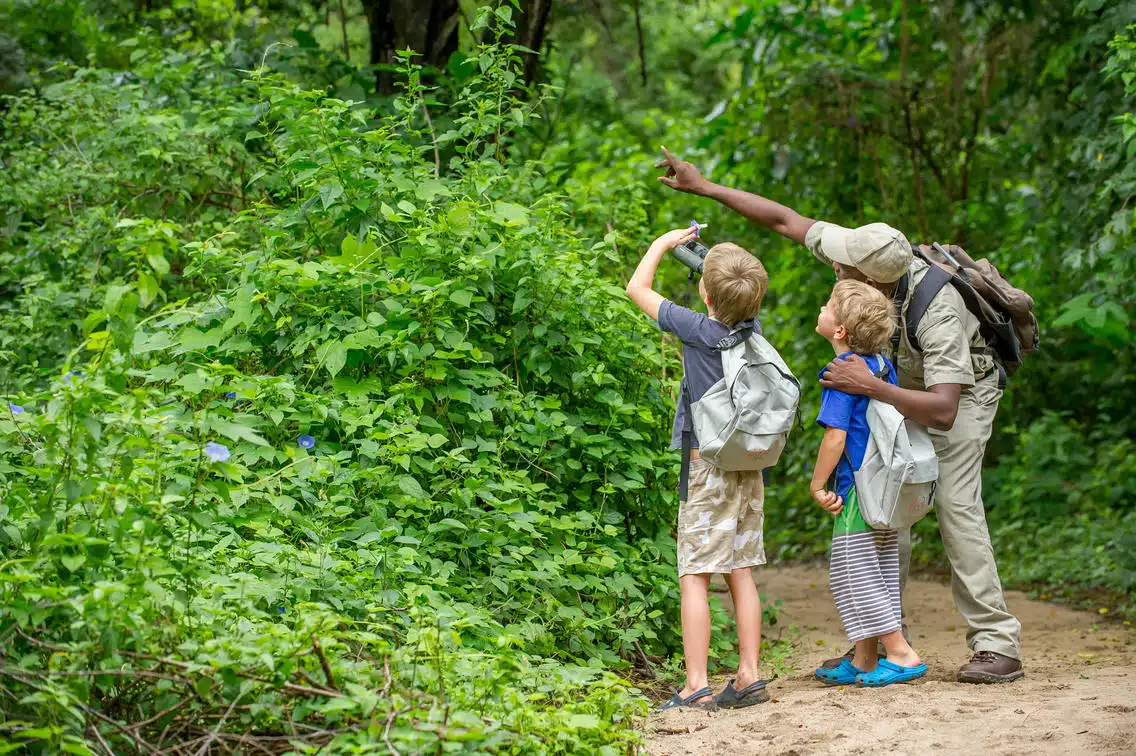 k8 https://www.safariventures.com/wp-content/uploads/k8.jpg