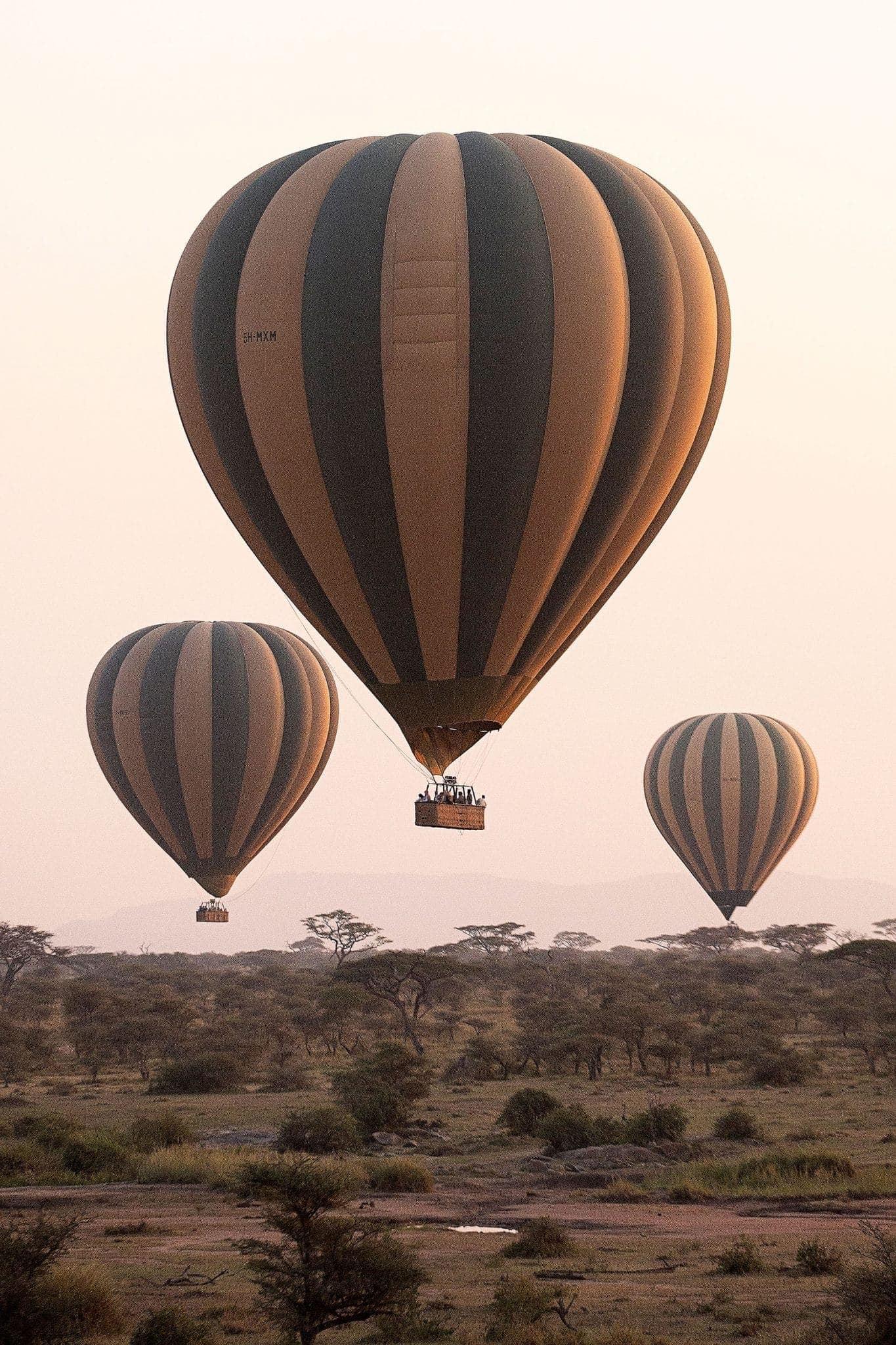 Serengeti Balloon Safari