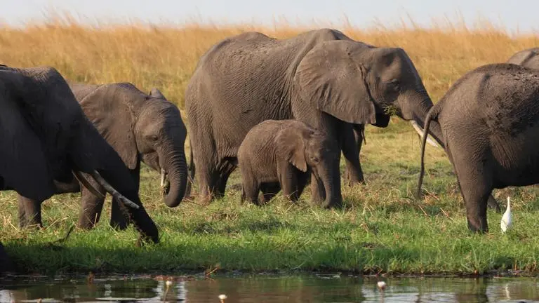 Southern Africa Value Tour