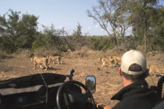 1 https://www.safariventures.com/wp-content/uploads/1-9.png