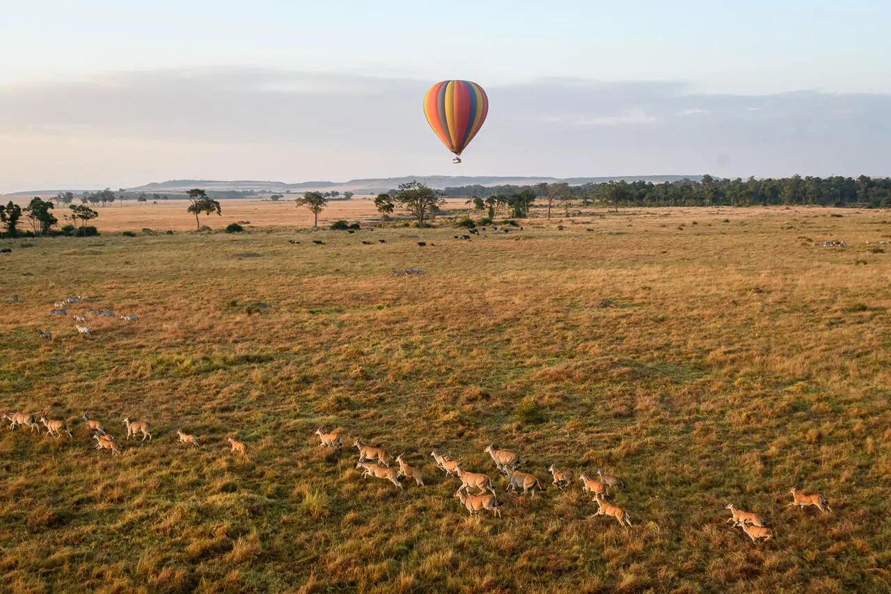 hot air balloon safari
