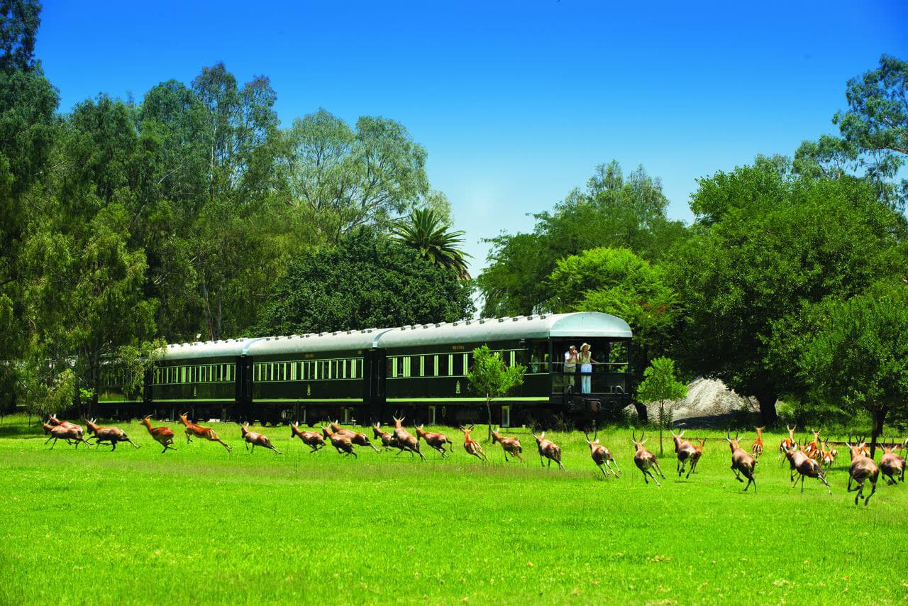 Rovos rail train safari