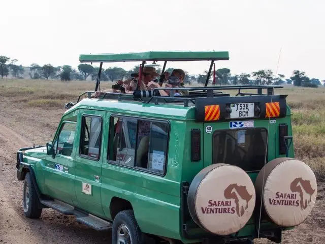 Private vs Group Safari: Which One Is Worth It?
