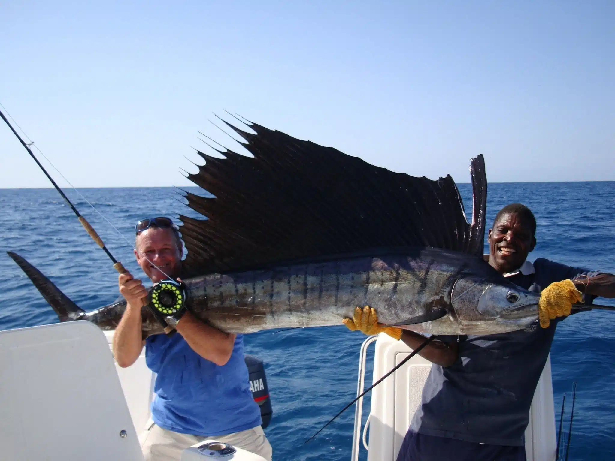 https://www.safariventures.com/wp-content/uploads/Andre-Kruger-1.jpg
